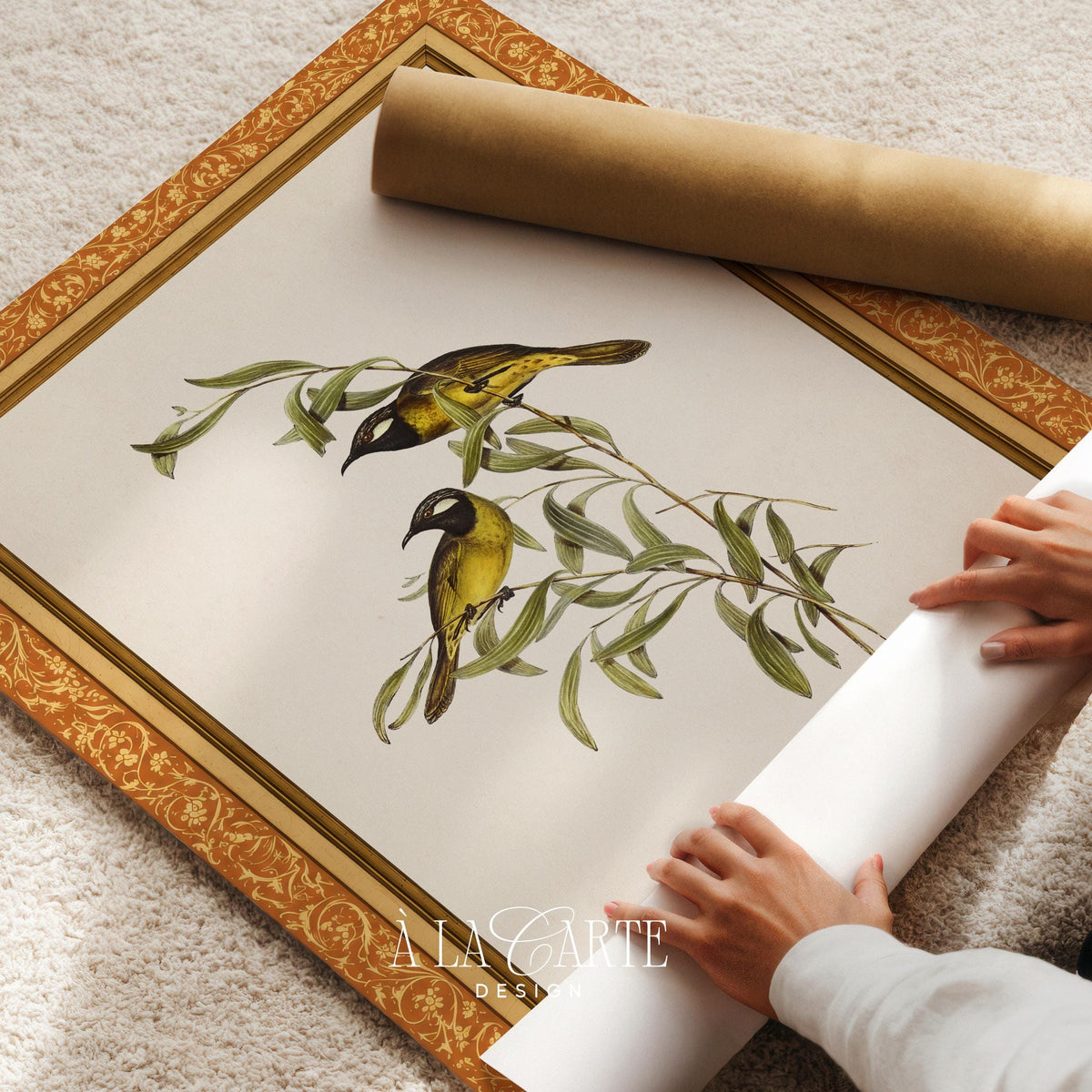 Black and golden songbirds digital print on aged paper with fine linework botanical details
